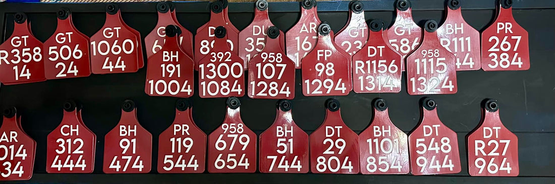 Ritchey Ear Tags